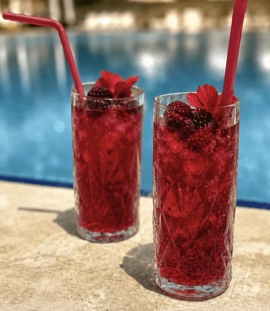 Berry Hibiskus